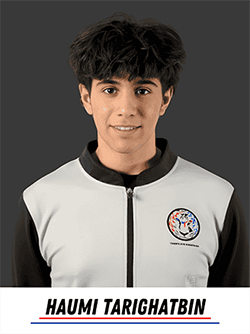 Haumi Tarighatbin